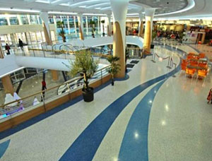 ˇ�g(sh��)������ƺ